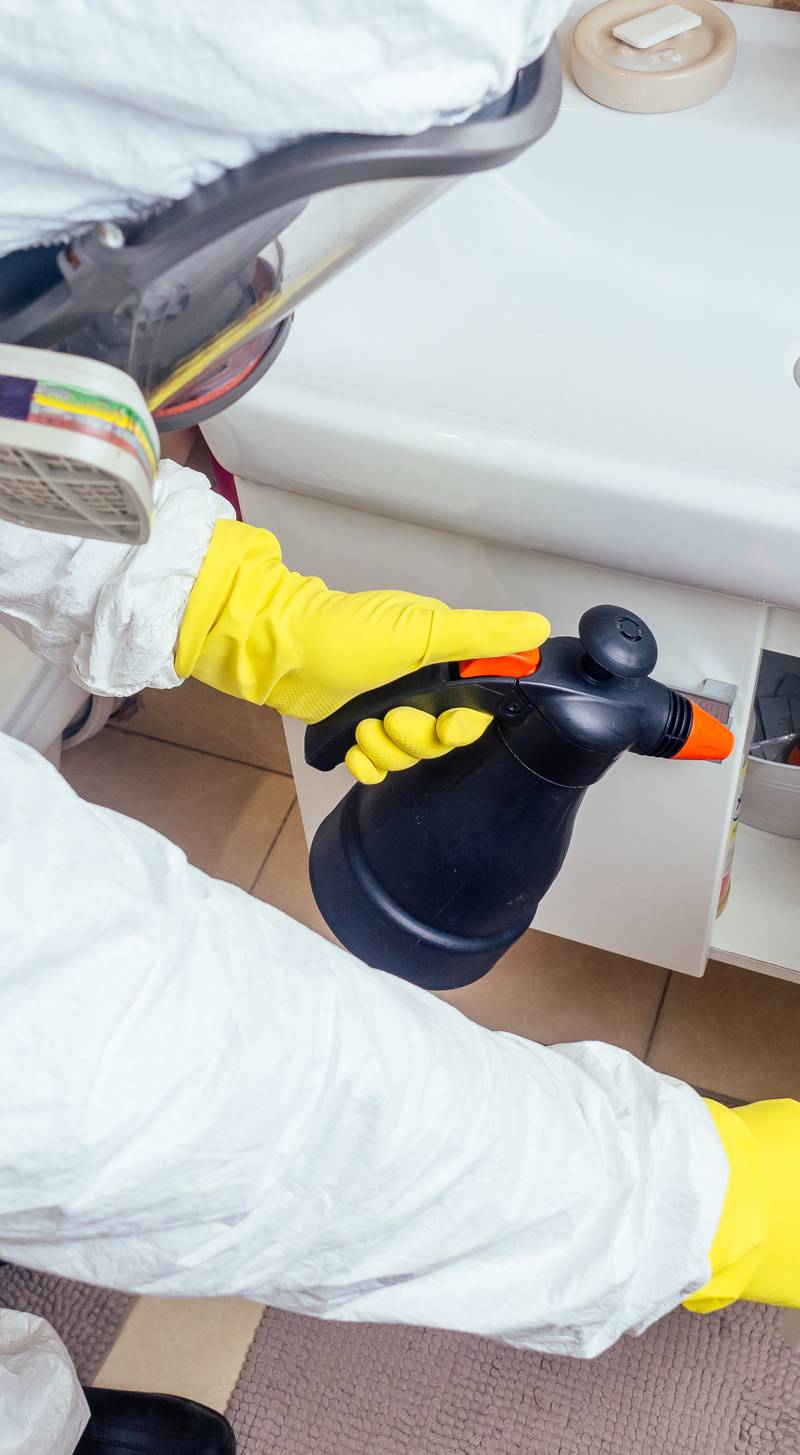 Termite Pest Control - Perimeter Pest Control & Termite Solutions PTY LTD